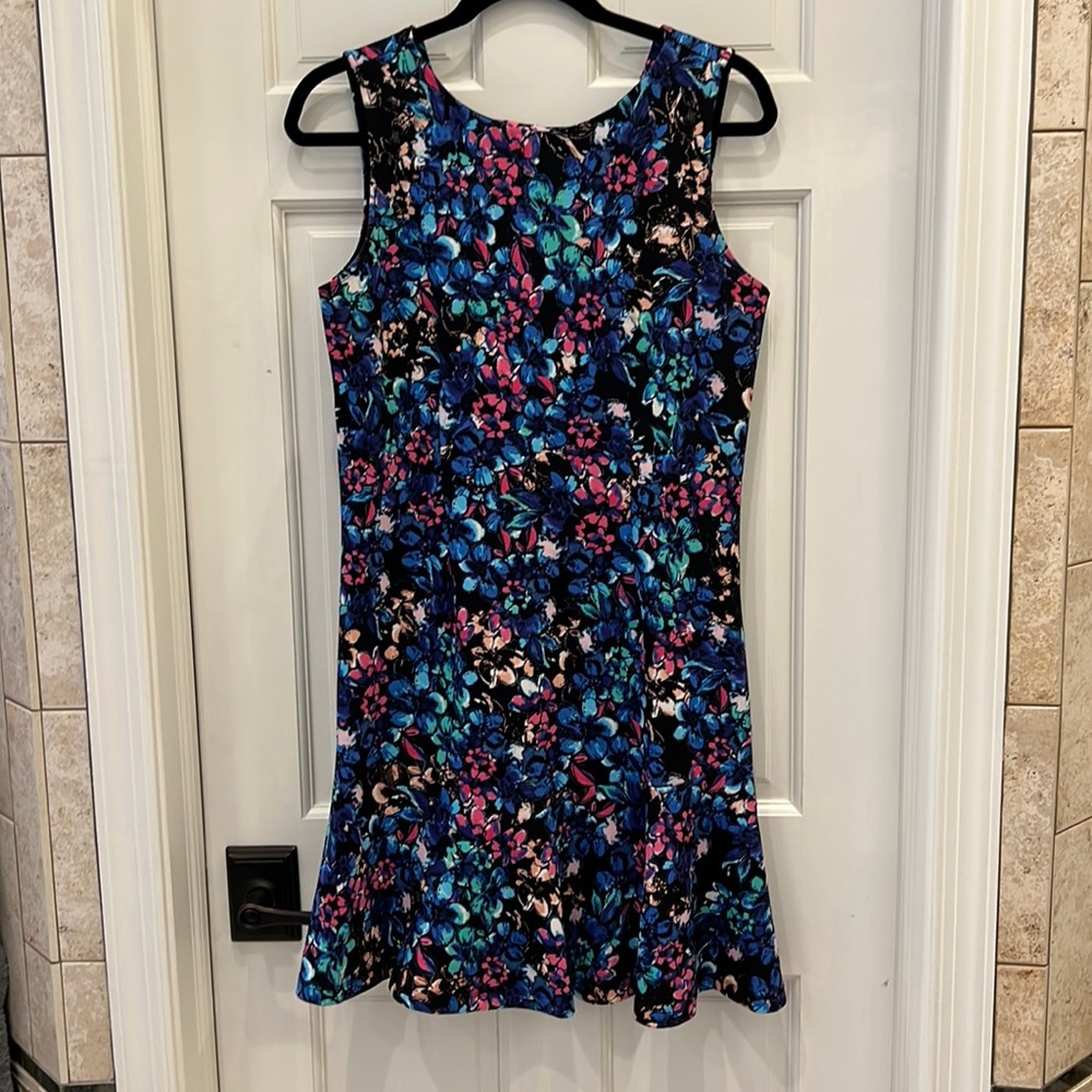 The Limited brightly colored floral print dress.